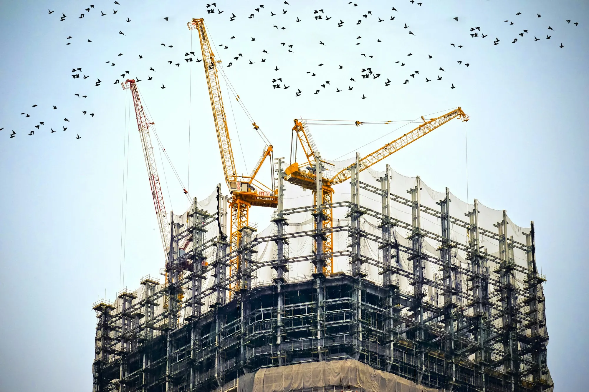 A building under construction with tower cranes